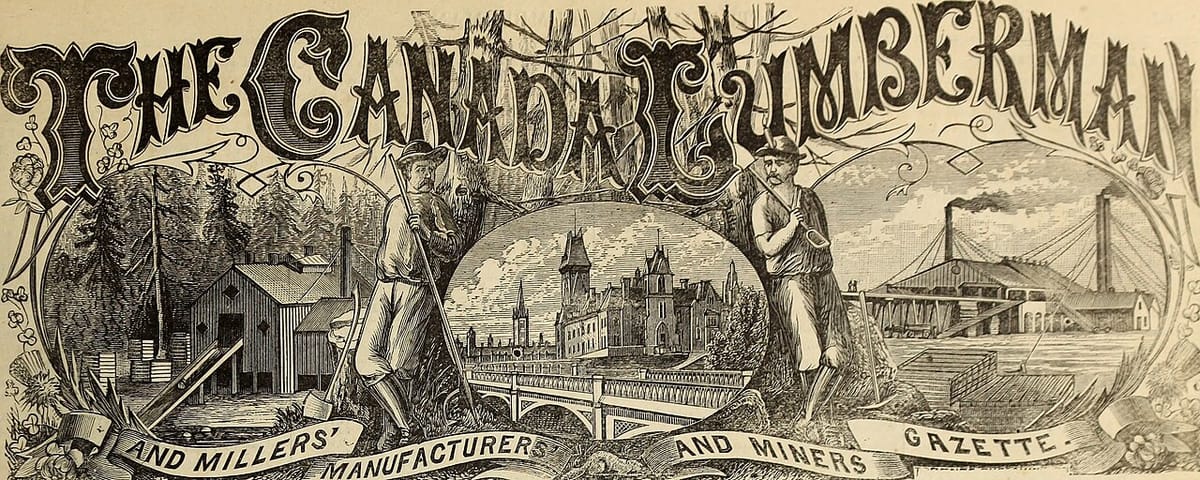 How to Lose 20 Pounds Without Losing Strength