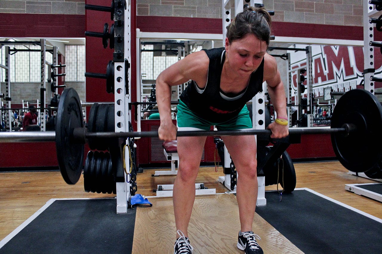 Barbell Rows vs Dumbbell Rows vs Cable Rows
